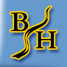 Bathwick Hill Logo