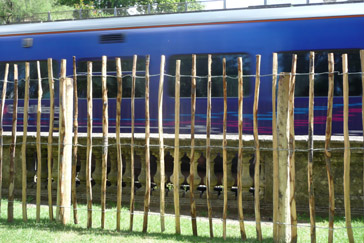 Train seen through the fence